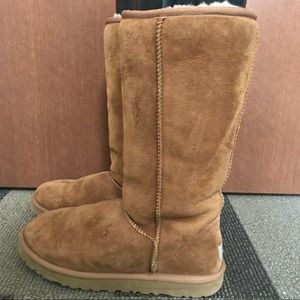 Tall Chestnut Brown Ugg Boots